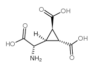 DCG-IV 147782-19-2